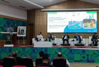 Oléiculture. L'interprofession expose les grandes lignes de sa feuille de route à l’horizon 2030