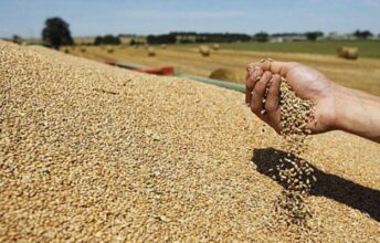Agriculture et climat : le Maroc réévalue la stratégie Génération Green