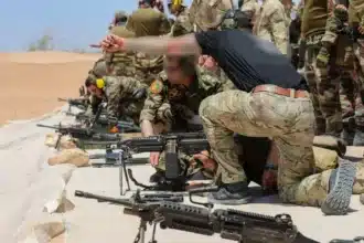 Industries de la défense. Une alliance entre l'ALEM et MEDZ autorisée par le gouvernement