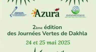 AZURA : un leader de la tomate cerise qui cultive durabilité et excellence