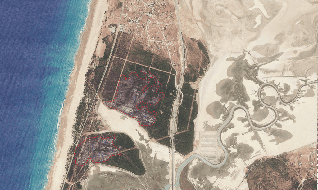 image satellite montrant les surfaces détruites dans la forêt de Houara après le feu de forêt qui s'est déclenché le 26 mai 2025