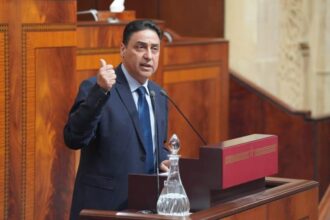 Les exportations marocaines vers l’Égypte devraient atteindre 5 MMDH d’ici 2027 (Omar Hejira)