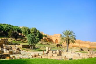 La nouvelle vie du site historique de Chellah