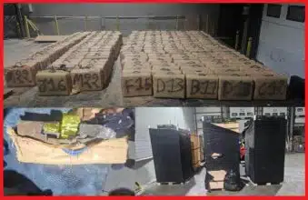 Saisie de plus de 7 tonnes de chira à Tanger Med