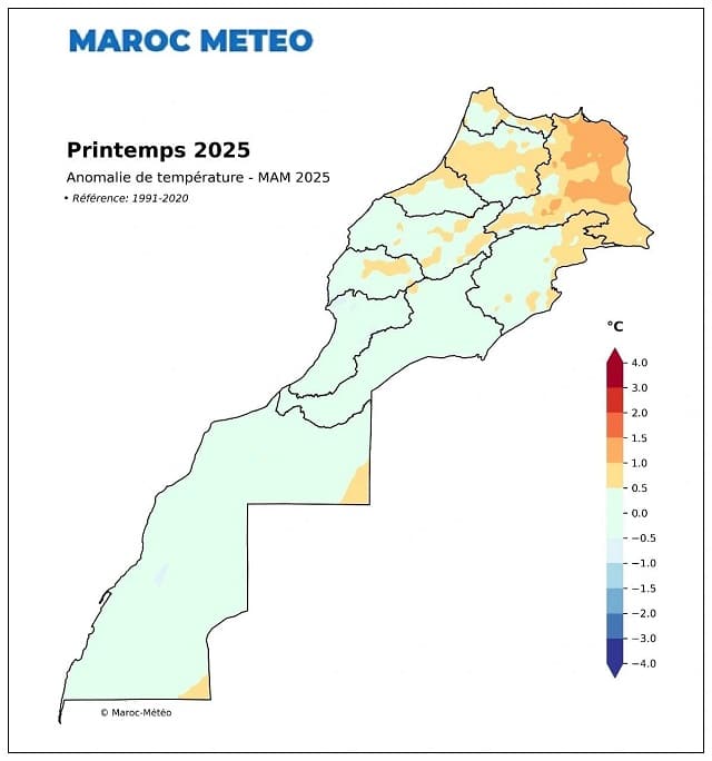Au Maroc, un printemps légèrement plus chaud que la normale (+0,2°C)