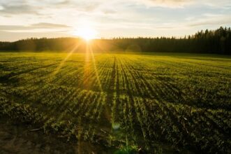 Au Maroc, un printemps légèrement plus chaud que la normale (+0,2°C)
