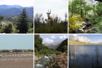 Huit nouveaux parcs et réserves naturels seront créés sur plus de 500.000 hectares