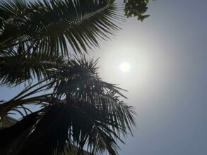 Canicule : le Maroc dans la fournaise, un épisode hors norme s'installe