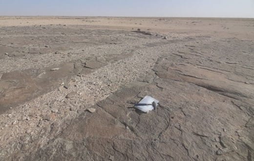 Minerais critiques. L'ONHYM intensifie ses travaux d’exploration du lithium