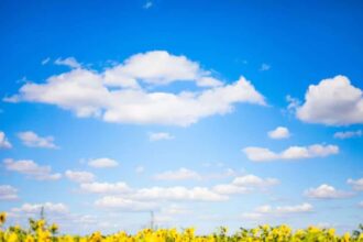 Les prévisions météo pour ce samedi 5 juillet