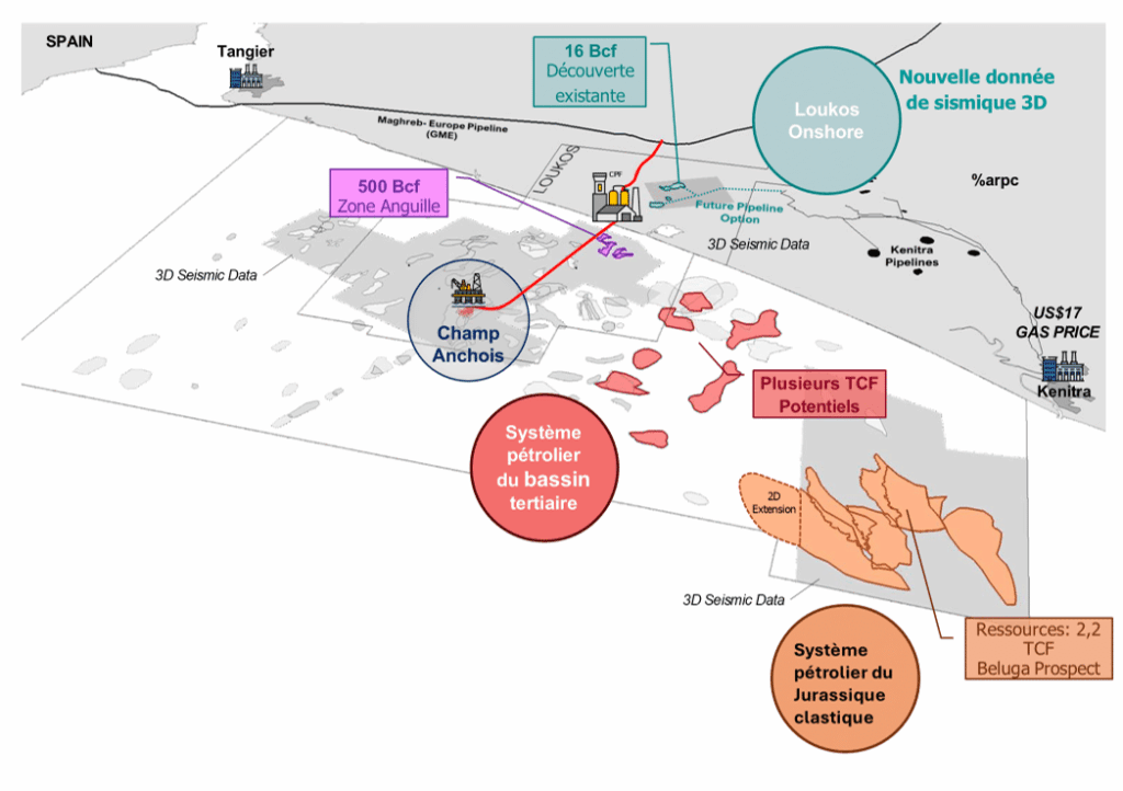 ONHYM Opens New Offshore Block for Hydrocarbon Exploration