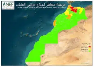 Feux de forêt : risque extrême à Chefchaouen, Taounate et Taza