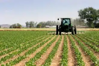 L’INRA et Nature publient une carte intelligente de nutriments des sols agricoles marocains