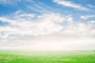 Les prévisions météo pour ce mercredi 16 juillet