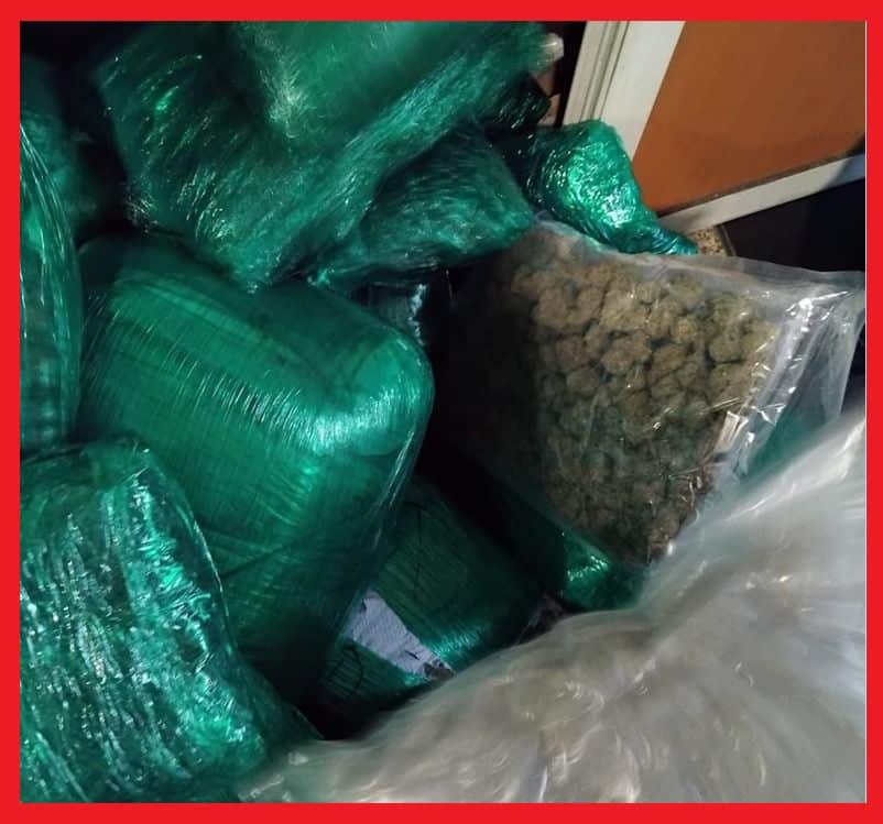 Aéroport de Casablanca : arrestation de deux Canadiens en possession de 133,6 kg de marijuana (DGSN)