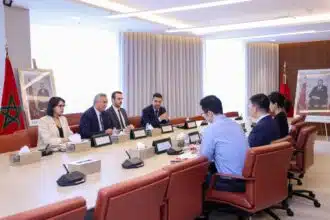 Raffinerie de lithium : un projet conjoint porté par LG Energy Solution et YAHUA Group