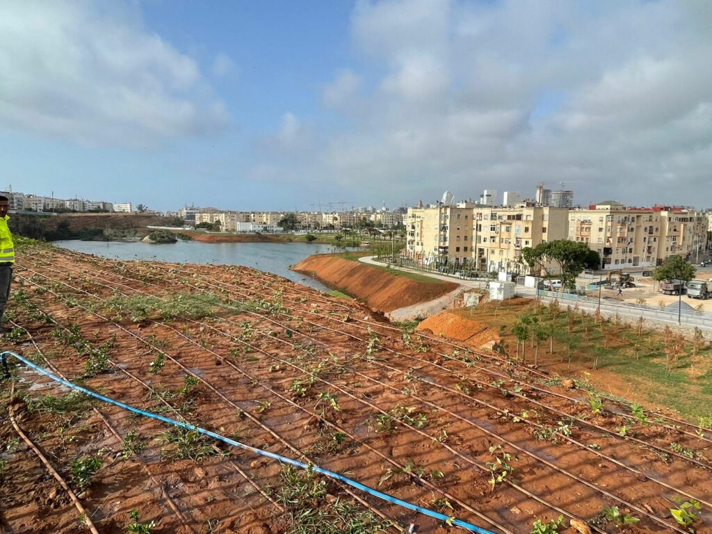 Parc de l’étang du quartier Oulfa : inauguration prévue le 20 août Parc de l’étang du quartier Oulfa : inauguration prévue le 20 août