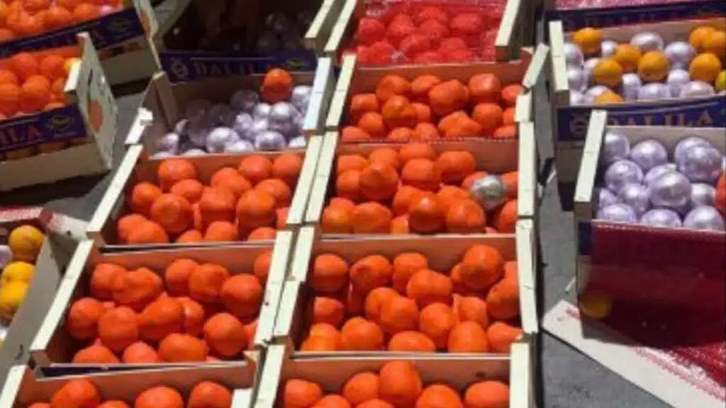 Saisie de plus de 4 tonnes de chira dans un camion de fruits à Tanger Med