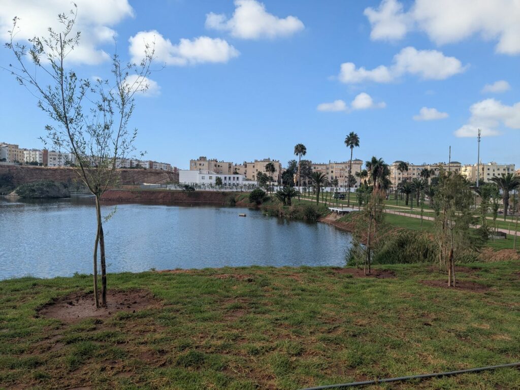 Parc de l’étang du quartier Oulfa : inauguration prévue le 20 août Parc de l’étang du quartier Oulfa : inauguration prévue le 20 août