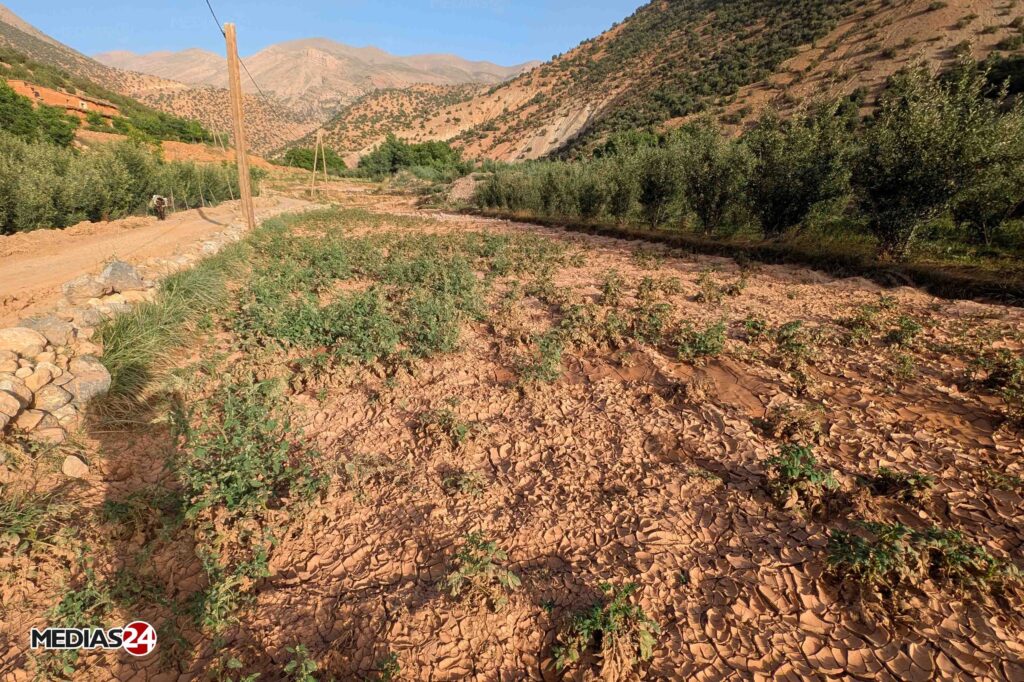 Reportage. Médias24 à Aït Bouguemez, l’agriculture face à l’enjeu de la durabilité (3/4)