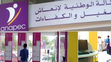 Contrats Idmaj de l'Anapec : suspension temporaire du programme, en attendant la nouvelle formule