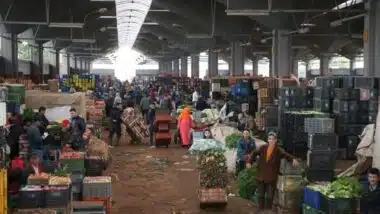 Nouveaux détails sur la future plateforme agroalimentaire de Casablanca