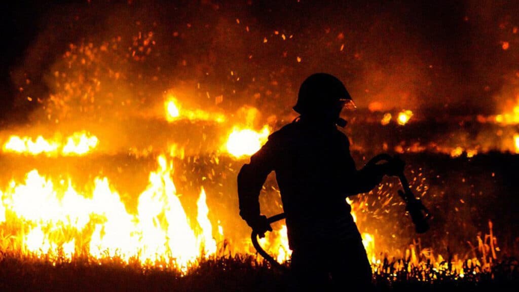 Feux de forêts : 418 incendies recensés en 2025, l’ANEF mobilise 150 MDH pour renforcer la prévention en 2026