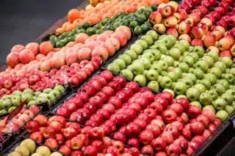 Fruits et légumes : avec 710 millions d’euros d’exportations, le Maroc reste le premier fournisseur de l’Espagne