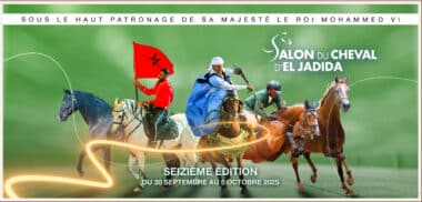 16e édition du Salon du cheval d'El Jadida du 30 septembre au 5 octobre 2025