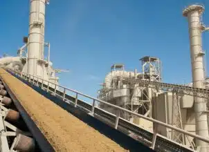 Engrais : OCP Nutricrops prépare le déploiement de filiales en France et en Inde