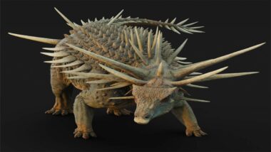 Une étude dévoile l’armure spectaculaire de Spicomellus afer, dinosaure du Moyen Atlas