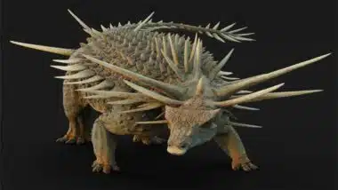 Une étude dévoile l’armure spectaculaire de Spicomellus afer, dinosaure du Moyen Atlas