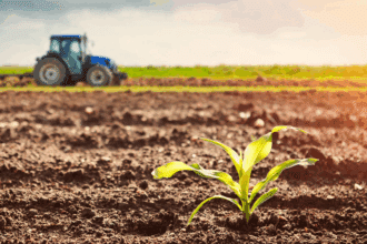 Campagne agricole 2025-2026 : un démarrage timide, suspendu au retour des pluies