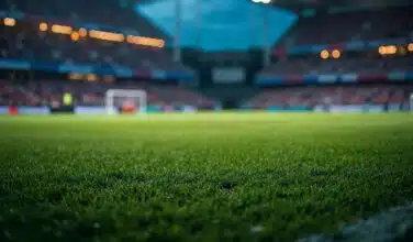La charte du football professionnel validée par la Ligue nationale