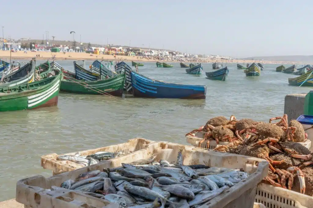 Le port de Souira Guedima