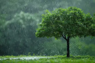 Orages et rafales de vent ce mercredi 17 septembre dans huit provinces