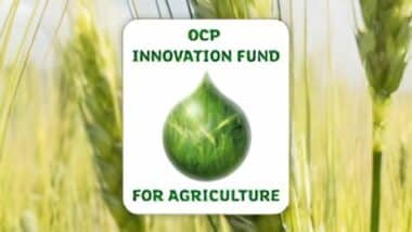 OCP Innovation Fund for Agriculture porte son capital de 200 MDH à 2,6 MMDH
