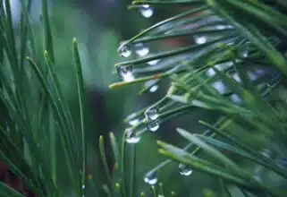 Averses orageuses avec grêle ce lundi dans plusieurs provinces