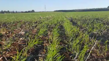 La croissance économique au plus haut niveau depuis 2017