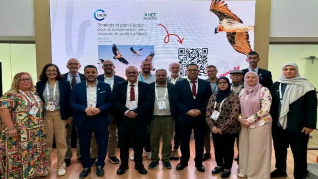 Présentation du plan marocain de conservation des rapaces à Abou Dhabi.
