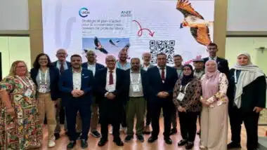 Le Maroc lance une stratégie nationale pour la conservation des rapaces