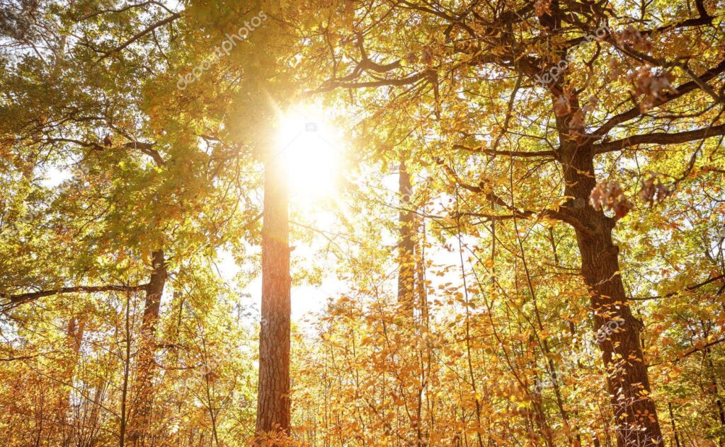 Les prévisions météo pour ce mardi 14 octobre