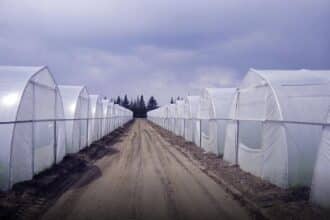 Liquidation de Soprofel : une des fermes de Puech à Dakhla reprise par un ancien ministre