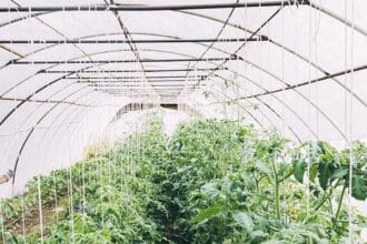 Bouhdoud et les 200 hectares à Dakhla : comment l’ex-ministre a remporté la ferme des Puech