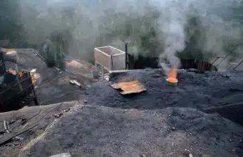 Le Maroc prévoit d’éliminer le charbon de sa production électrique d’ici 2040, sous condition d’un appui international