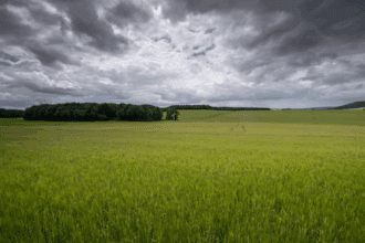 Les prévisions météo pour ce lundi 3 novembre