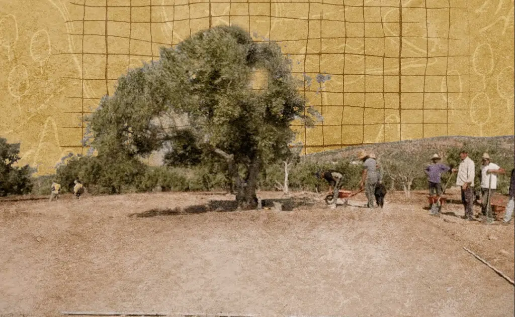 À Volubilis, découverte de tours de guet et d’un monument funéraire de la période maurétanienne