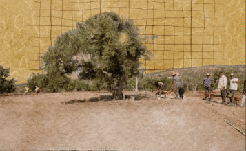 À Volubilis, découverte de tours de guet et d’un monument funéraire de la période maurétanienne