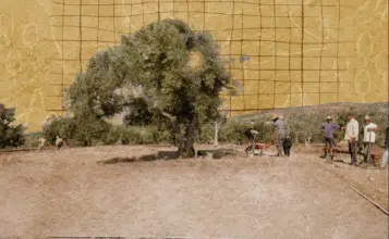 À Volubilis, découverte de tours de guet et d’un monument funéraire de la période maurétanienne