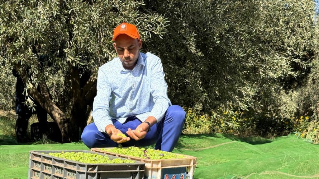 Al Haouz : les PFD Al Moutmir améliorent de 20 % les rendements de l’olivier